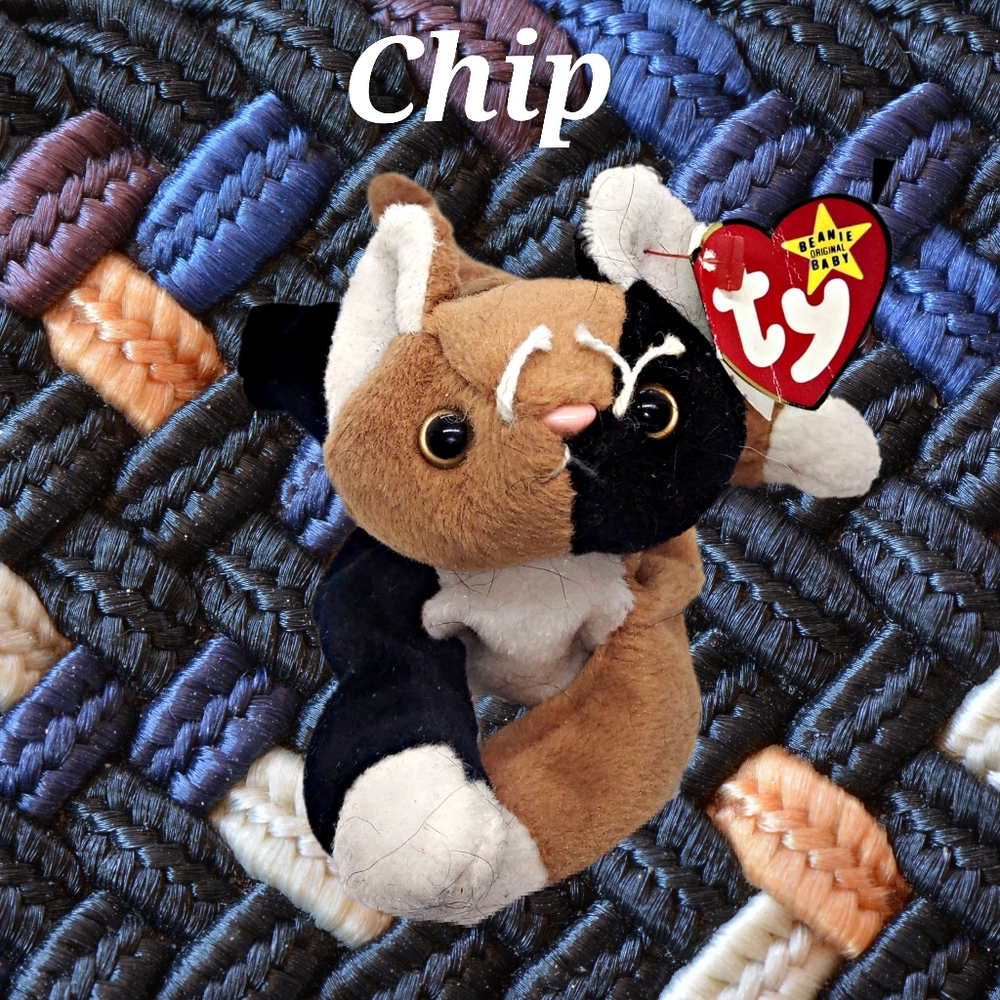 Ty Beanie Baby ~ Chip